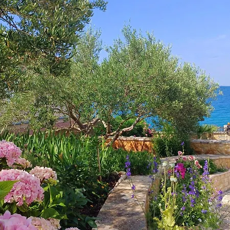 Oceanview Prestige