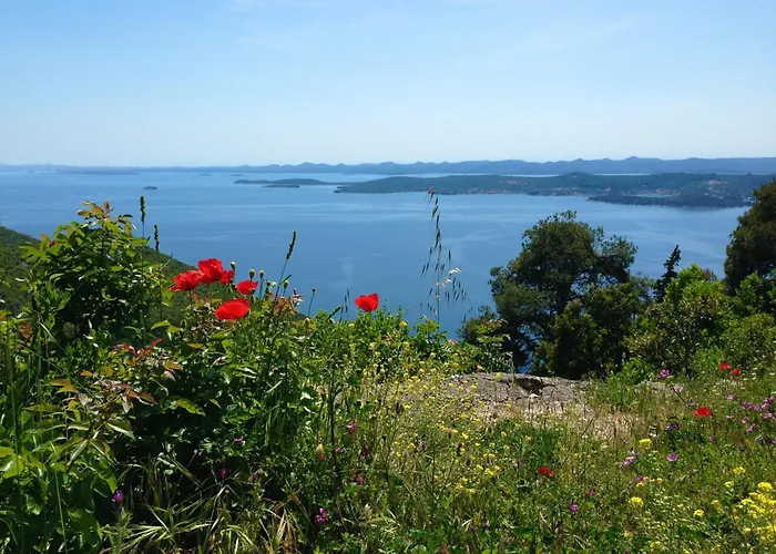 Апартаменты Oceanview Prestige Кали