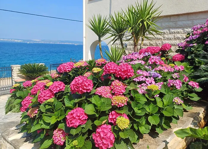 Апартаменты Oceanview Prestige *