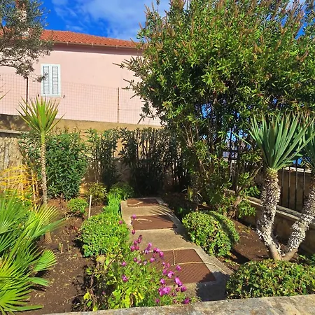 Oceanview Prestige *