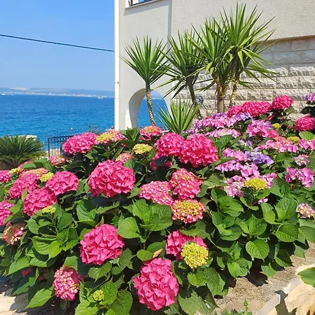 아파트 Oceanview Prestige *