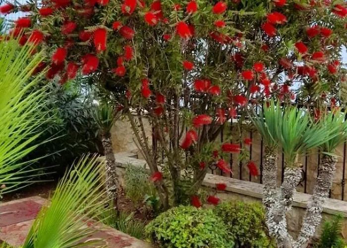 Oceanview Prestige Apartamento Kali