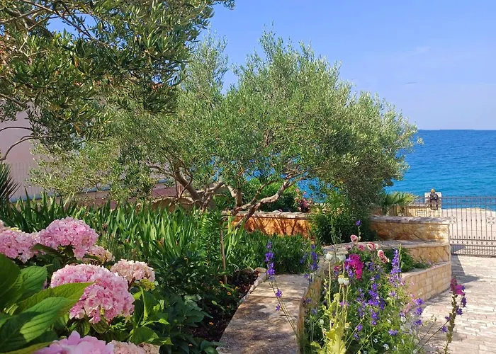 Oceanview Prestige
