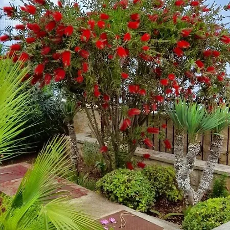 Oceanview Prestige דירה קאלי